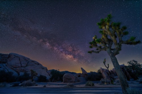 A starry night sky with the Milky Way over rocky terrain and a silhouetted Joshua tree in the foreground.