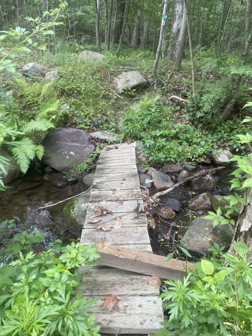 A wooden bridge crosses a small stream in a lush, green forest with rocks and ferns surrounding the area.