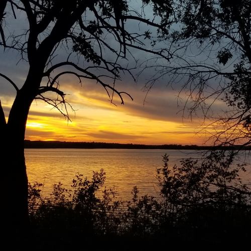 Silhouette of trees against a vibrant sunset over a calm lake, with colorful clouds reflecting on the water.