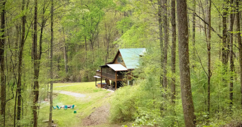 A cozy cabin nestled in a lush green forest, surrounded by trees and a winding path.