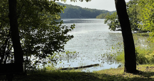 A serene lake view framed by trees, with calm water reflecting the surrounding greenery.