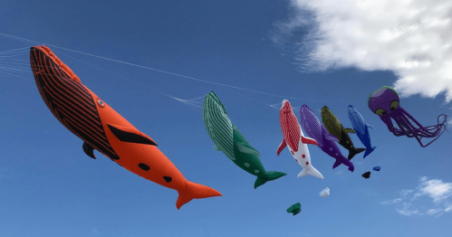 Colorful kites shaped like whales and an octopus flying against a blue sky with fluffy white clouds.