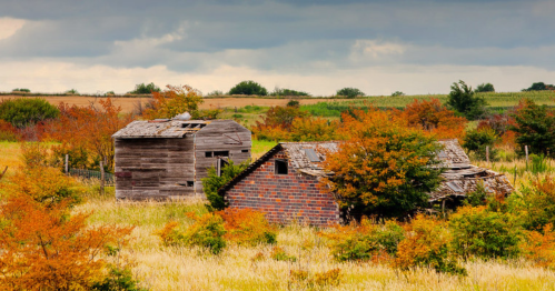 Two dilapidated buildings surrounded by overgrown grass and autumn foliage under a cloudy sky.