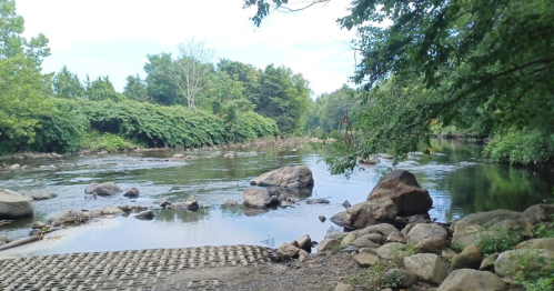 A serene river scene surrounded by lush greenery and large rocks, with calm water reflecting the sky.