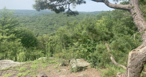 A scenic view of a lush green landscape from a rocky outcrop, with trees framing the foreground.
