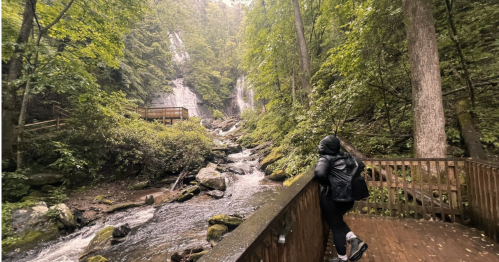 A person stands on a wooden path beside a stream, surrounded by lush greenery and a waterfall in the background.