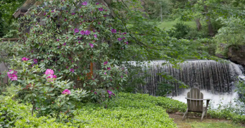 A serene garden scene featuring blooming flowers, a waterfall, and a wooden chair by the water's edge.
