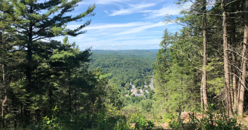 A scenic view of a lush green valley surrounded by trees under a blue sky with wispy clouds.