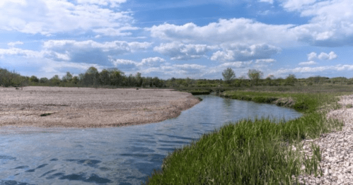 A serene river winding through a grassy landscape under a blue sky with fluffy clouds.
