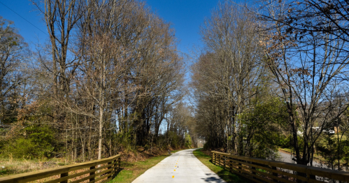 A paved path lined with bare trees under a clear blue sky, surrounded by greenery on either side.