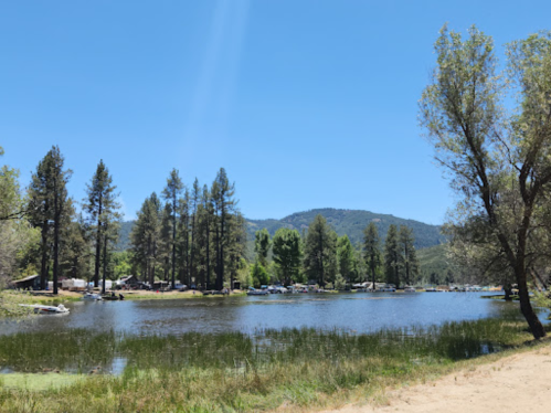 A serene lake surrounded by tall trees and mountains under a clear blue sky, with boats docked along the shore.