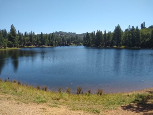 A serene lake surrounded by trees under a clear blue sky, reflecting the landscape in calm waters.