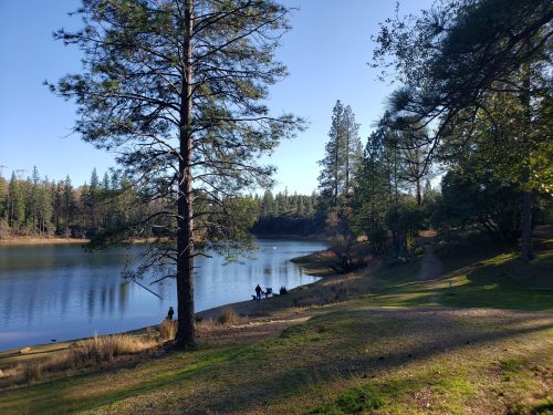 A serene lake surrounded by trees, with people enjoying the scenery along the shore on a clear day.