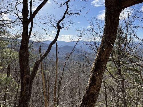 A scenic view of mountains and trees under a blue sky, framed by bare branches in the foreground.