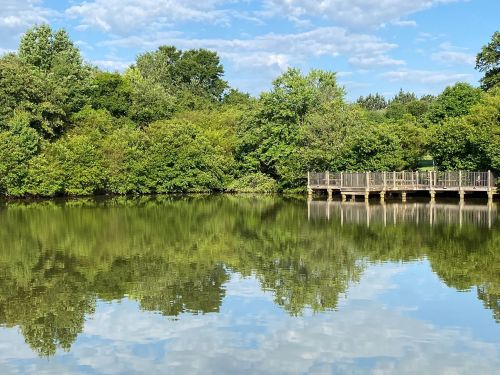 A serene lake surrounded by lush greenery, with a wooden dock reflecting in the calm water under a blue sky.