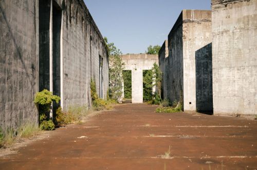 Abandoned industrial site with concrete walls and a rusted floor, overgrown with plants under a clear blue sky.