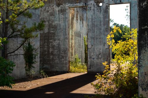 Abandoned building interior with crumbling walls, doorways, and overgrown greenery illuminated by sunlight.