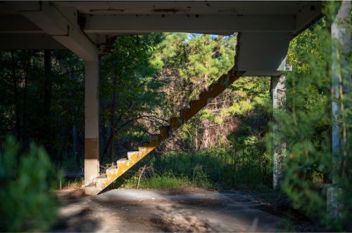 Abandoned staircase leading to overgrown greenery, surrounded by trees and nature, under a partially collapsed structure.