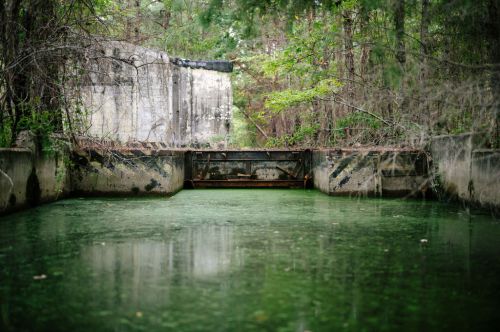 Overgrown, stagnant water with a concrete barrier and abandoned structures surrounded by dense greenery.