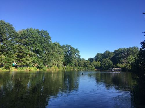 A serene pond surrounded by lush green trees under a clear blue sky, with a fountain in the water.
