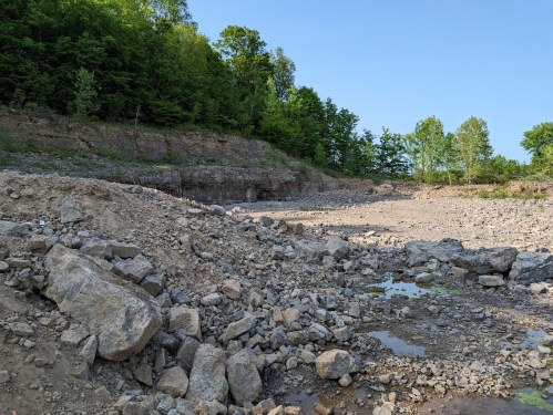 A rocky landscape with scattered stones and patches of water, surrounded by green trees under a clear blue sky.