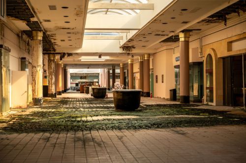 Abandoned indoor space with overgrown floor, damaged ceiling, and empty storefronts, illuminated by natural light.