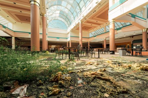 Abandoned mall interior with overgrown plants, empty tables, and a glass ceiling letting in natural light.