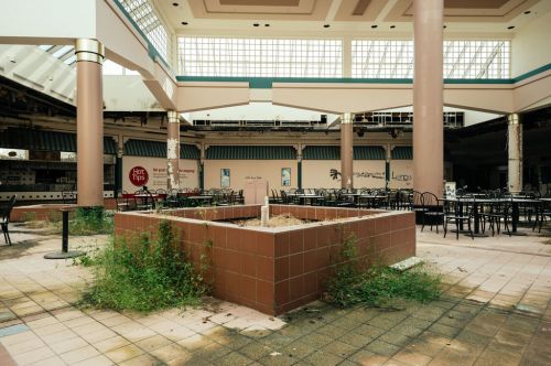 Abandoned mall interior with overgrown plants, empty tables, and a central planter in disrepair.