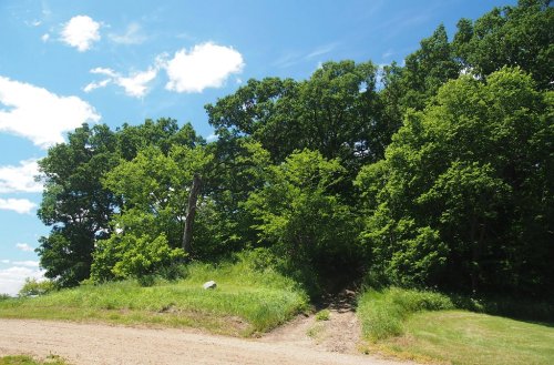 A sunny landscape featuring a dirt path leading into a lush green forest under a blue sky with scattered clouds.