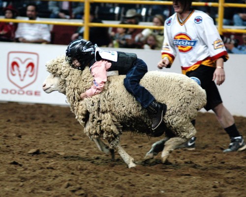 A child in a helmet rides a sheep during a rodeo event, while an adult in a jersey walks alongside.