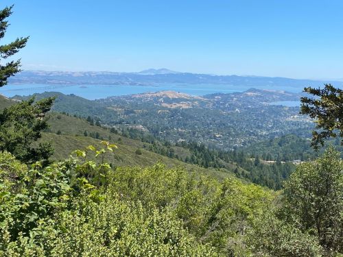 A scenic view of rolling hills and a bay under a clear blue sky, with greenery in the foreground.