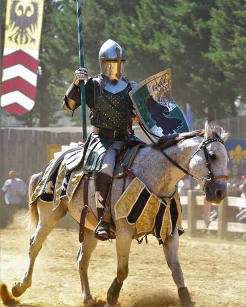 A knight in armor rides a horse, holding a spear and shield, in a medieval-themed event with banners in the background.