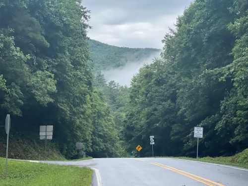 A winding road surrounded by lush green trees and misty mountains in the background under a cloudy sky.