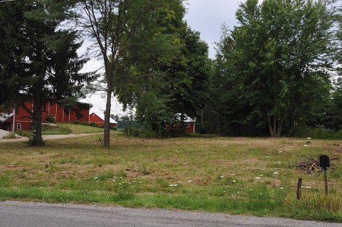 A grassy area with trees and a red barn in the background, along a gravel road.
