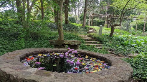 A stone fountain surrounded by greenery, with colorful flower petals floating on the water's surface.