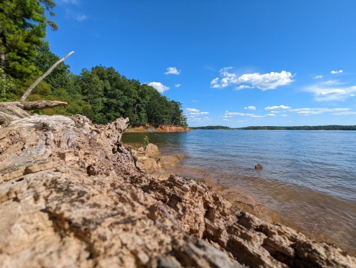 A serene lakeside view with a wooden log in the foreground, surrounded by lush green trees and a clear blue sky.