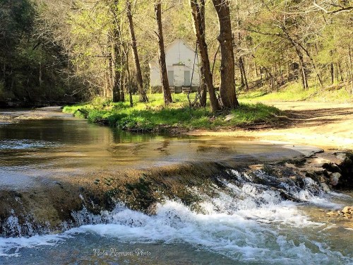 A serene river flows past a grassy bank, with a white building nestled among trees in the background.