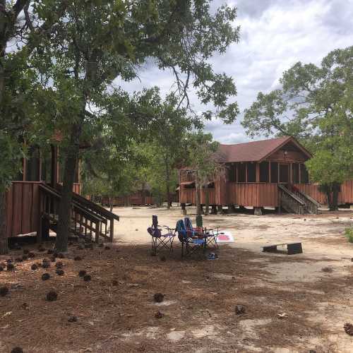 A rustic campsite with wooden cabins surrounded by trees and pine cones, featuring two chairs in the foreground.