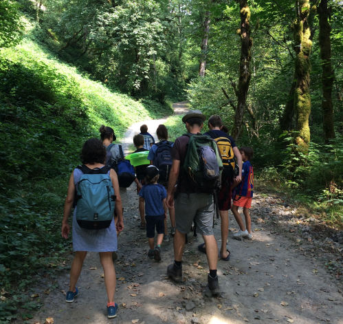 A group of people hiking on a forest trail, surrounded by lush greenery and trees.