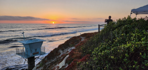 A person stands on a cliff overlooking the ocean at sunset, with waves crashing below and colorful foliage in the foreground.