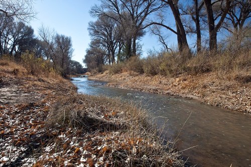 A serene river flows through a dry landscape with bare trees and scattered autumn leaves under a clear blue sky.
