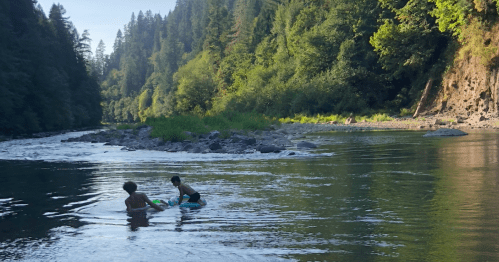 Two people wade in a calm river surrounded by lush green trees and rocky banks under a clear blue sky.