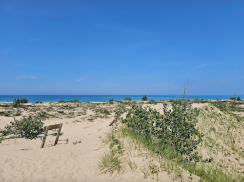 A sandy beach with sparse vegetation, leading to a clear blue ocean under a bright blue sky.