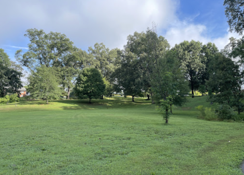 A lush green field with scattered trees under a partly cloudy sky.