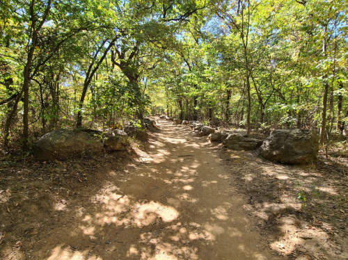 A dirt path winding through a lush, green forest, lined with large rocks and dappled sunlight filtering through the trees.