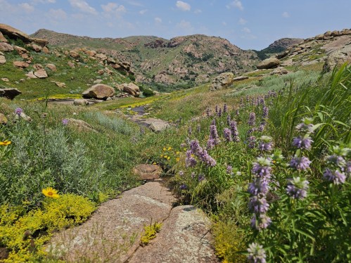 A scenic landscape featuring purple flowers, green grass, and rocky hills under a blue sky with scattered clouds.