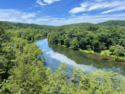 A serene river flows through lush green trees under a bright blue sky with scattered clouds.