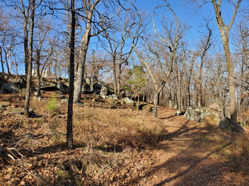 A winding trail through a rocky, wooded area with bare trees and scattered leaves under a clear blue sky.