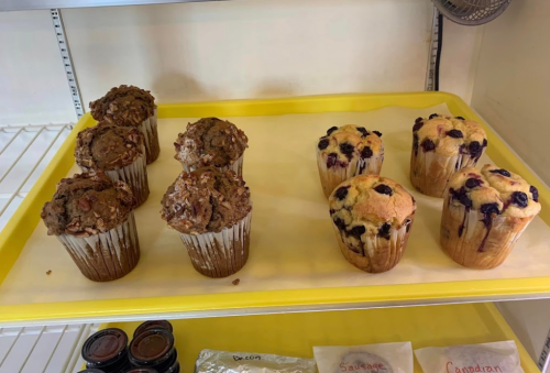 A tray of muffins: two chocolate oat muffins on the left and two blueberry muffins on the right.