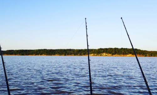 Three fishing rods stand over a calm lake, with a tree-lined shore in the background under a clear blue sky.